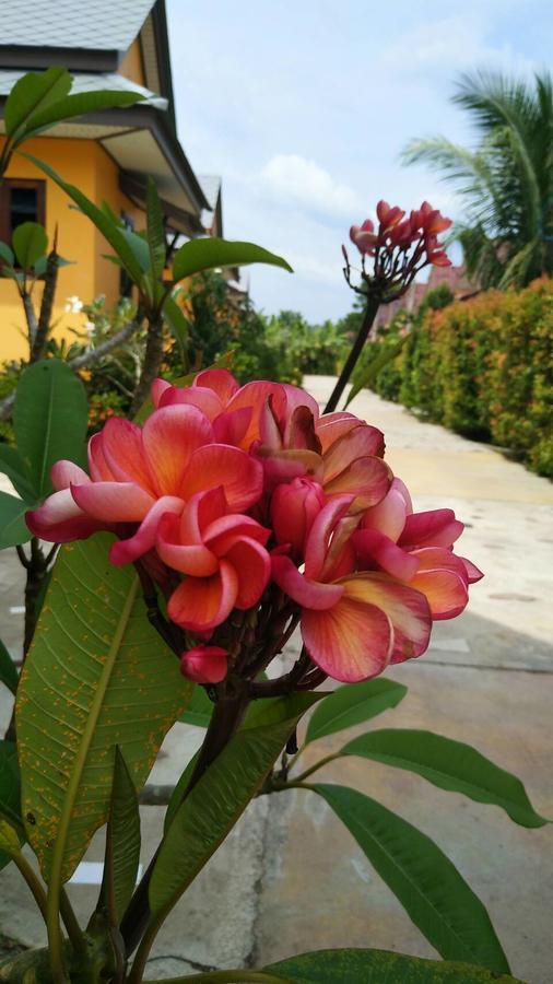 Hotel Baan Mek Lom Khao Lak Exterior foto